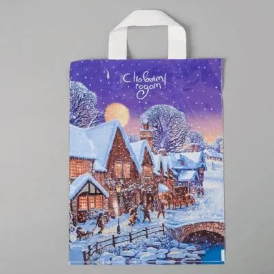 Пакет "Зимушка" полиэтиленовый с петлевой ручкой 28х35 см, 55 мкм 4455028