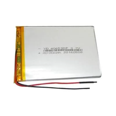 Аккумулятор универсальный 406590P (4x65x90mm) 3,7v 3000mAh
