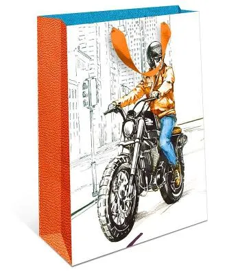 1312.138 Пакет подарочный Арт и Дизайн 18х22,3 см стандарт плюс BC Мотоциклист