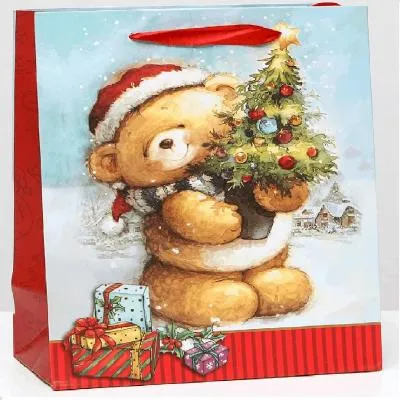 Пакет ламинированный "Поздравляю!" 18х23х10 см 5001229