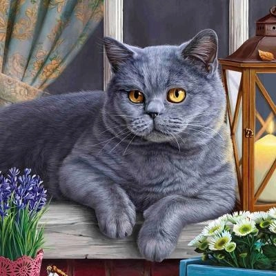 Набор для творчества алмазная мозаика Британский котик на окне 20х20 полное заполнение 24 цвета подрамник деревянный Рыжий кот