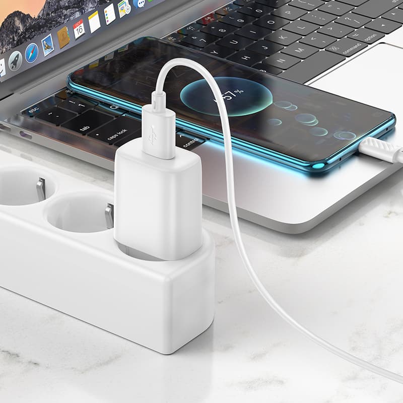 фото Сетевое зарядное устройство + кабель Type-C HOCO C134A 1USB 12W 2.4A 1м белый