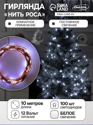Гирлянда нить роса 10 м LED-100 IP20 12V медная нить белый с блоком питания SimaLand