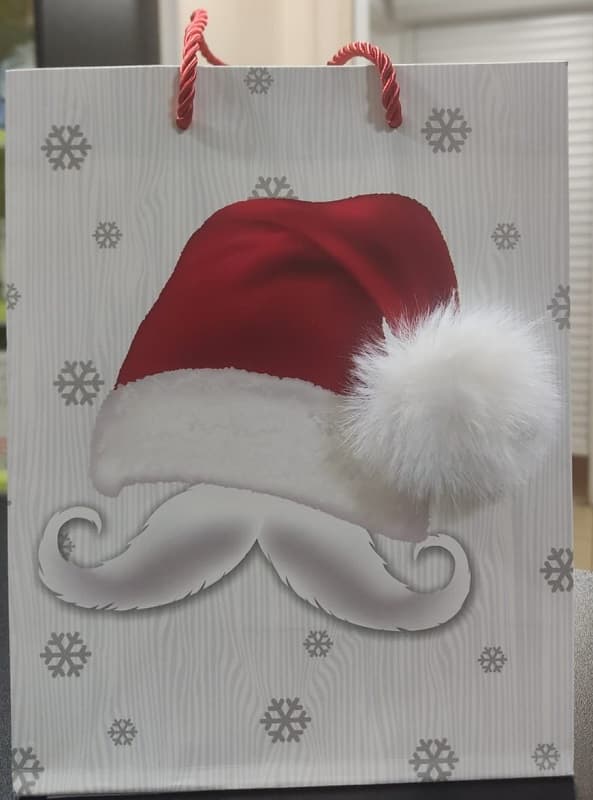 Пакет подарочный Новогодний с мехом 18х10х23 см YXL-1814S