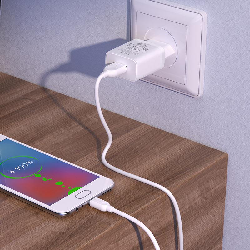 фото Сетевое зарядное устройство + кабель Micro USB Borofone BA52A 1USB 2.1A белый