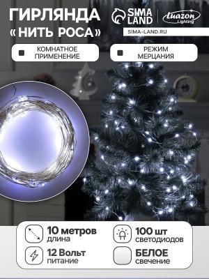Гирлянда нить роса 10 м LED-100 IP20 12V серебристая нить белый с блоком питания SimaLand