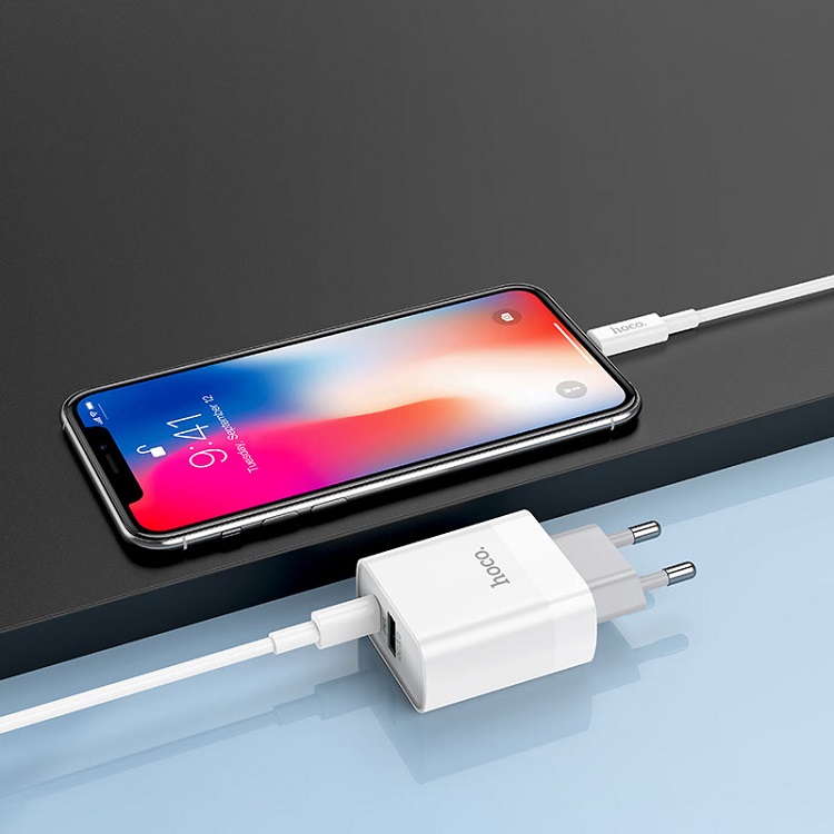 фото Сетевое зарядное устройство + кабель для iphone Lightning to Type-C HOCO C80A PD 20W+QC3.0 3A белый