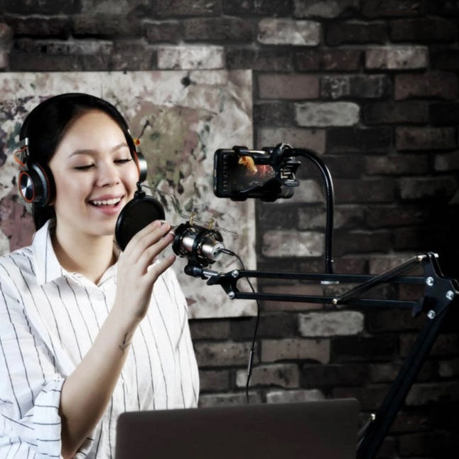 Мобильная студия звукозаписи Remax Mobile Recording Studio CK100 черная