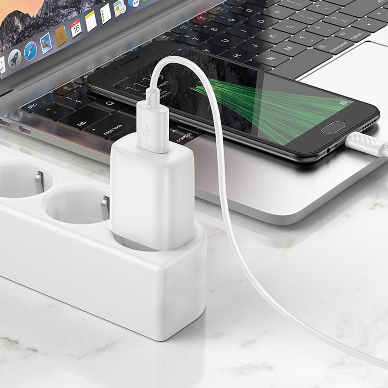 фото Сетевое зарядное устройство + кабель Micro USB HOCO C134A 1USB 2.4A 12W 1м белый