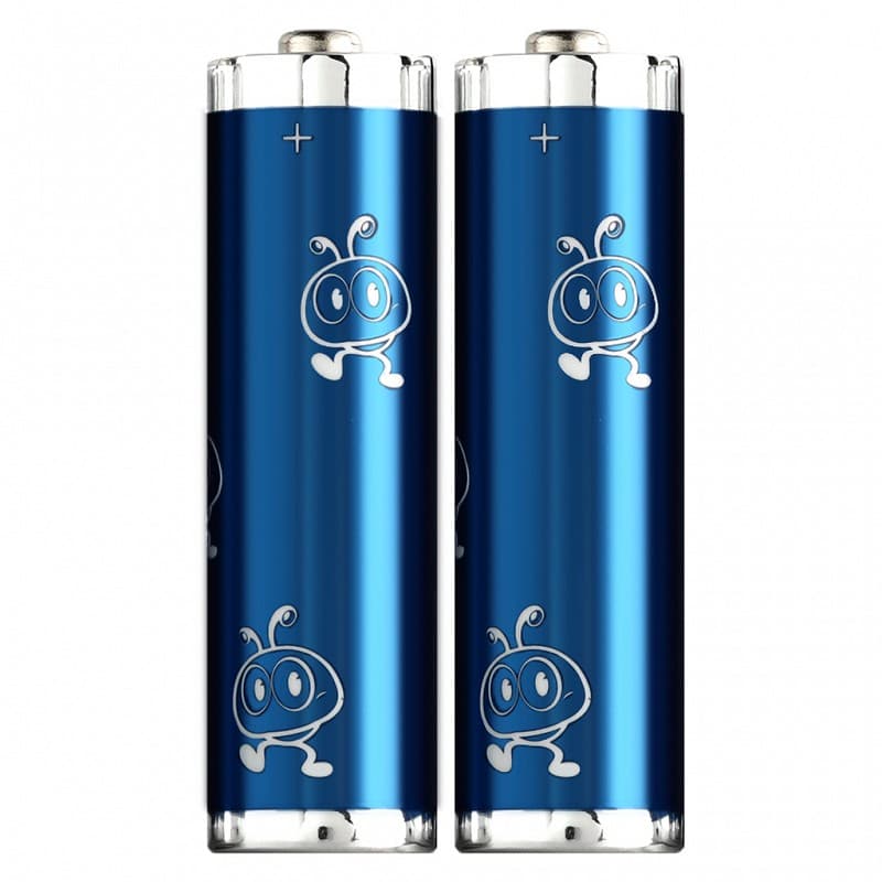 Батарейка Smartbuy алкалиновая LR6/2B MAXX (SBBM-2A02B)
