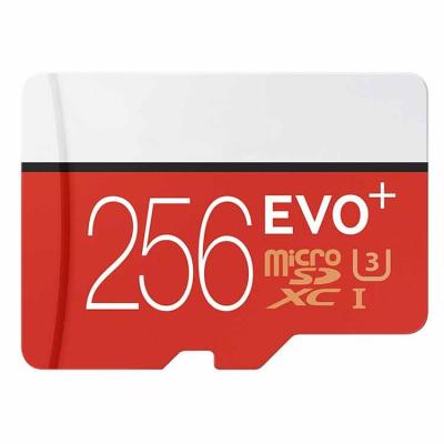 Карта памяти Samsung Micro SDXC Evo Plus UHS-1 U3 4K 100/90MB/s Class 10 256Gb 