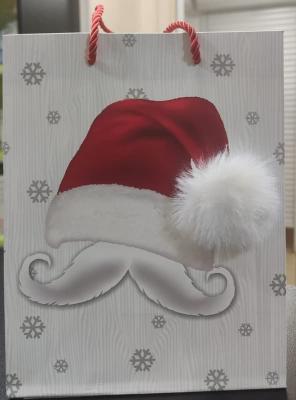 Пакет подарочный Новогодний с мехом 18х10х23 см YXL-1814S