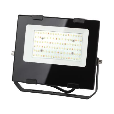 Фитопрожектор светодиодный для цветения и плодоношения ЭРА FITO-50W-Ra90-LED